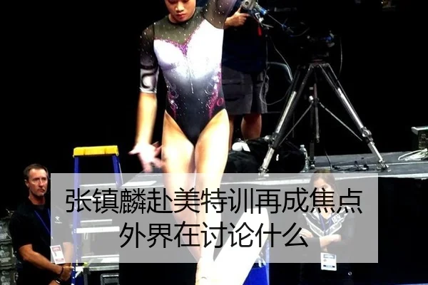 张镇麟赴美特训再成焦点 外界在讨论什么